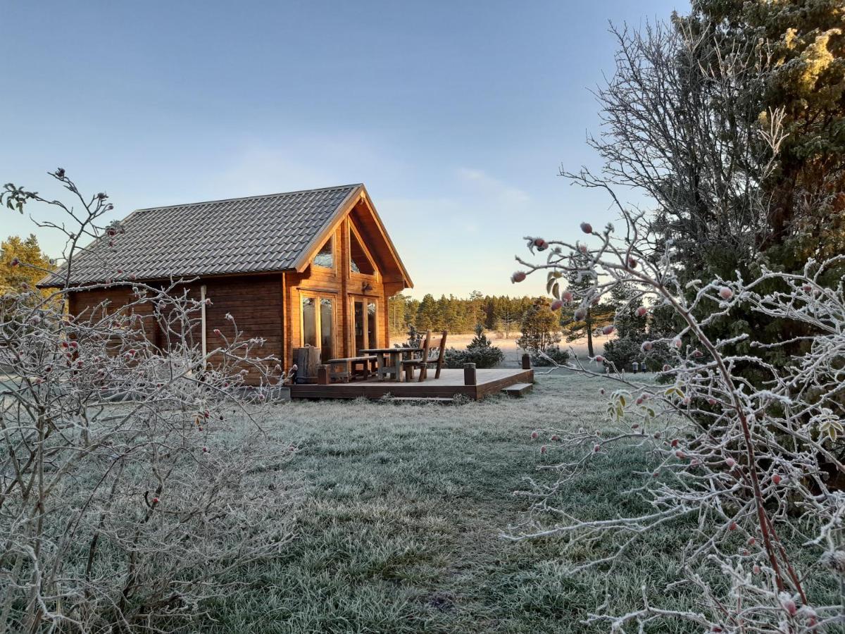 Valipe Puhkemaja Villa Kültér fotó